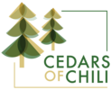 Cedars Of Chili