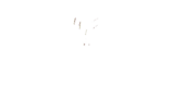 Traditions at Royalton Place - Seniors 55+