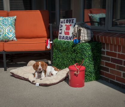 Amenities include Fitness Center, Outdoor Pool, Hot tub, and Pet Friendly