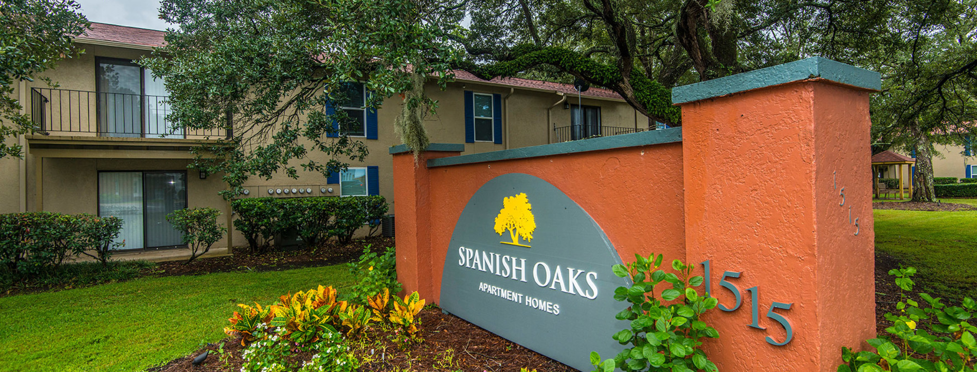 Spanish Oaks