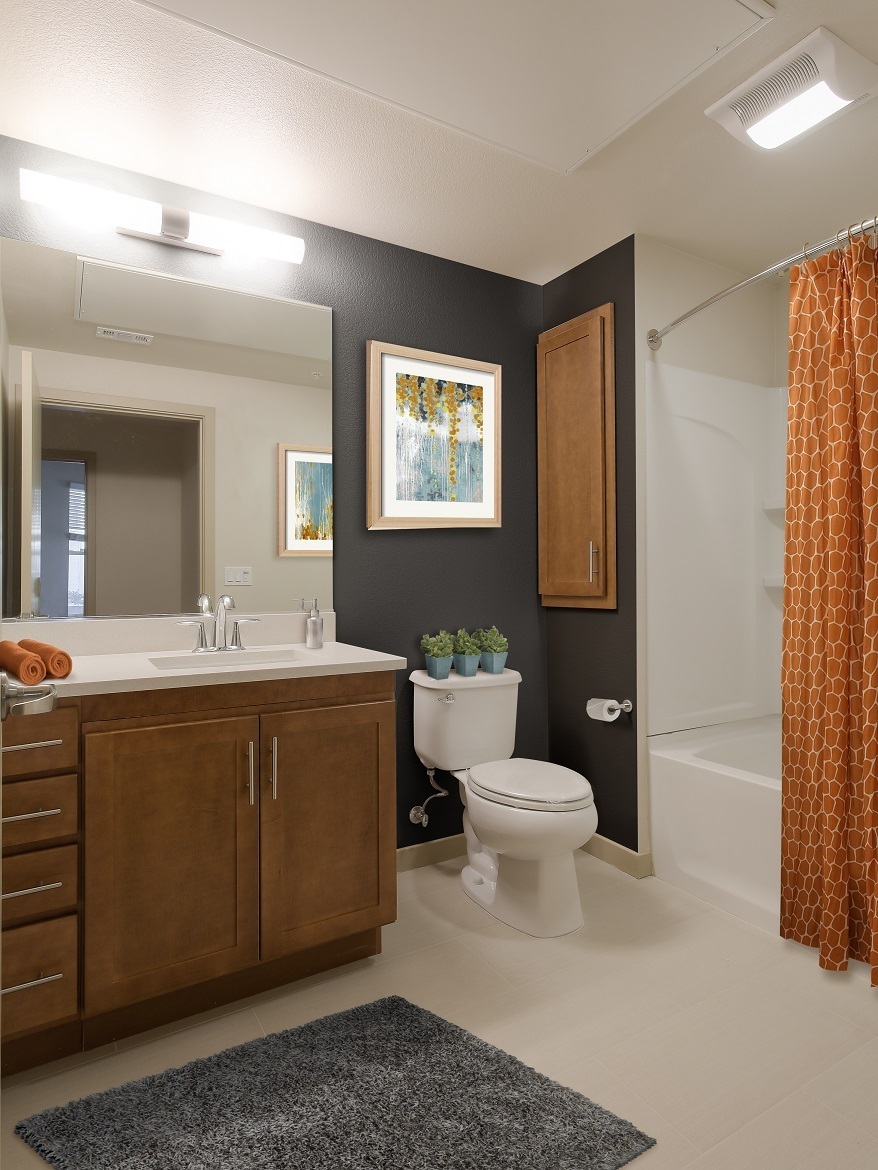 121 Tasman Image 36