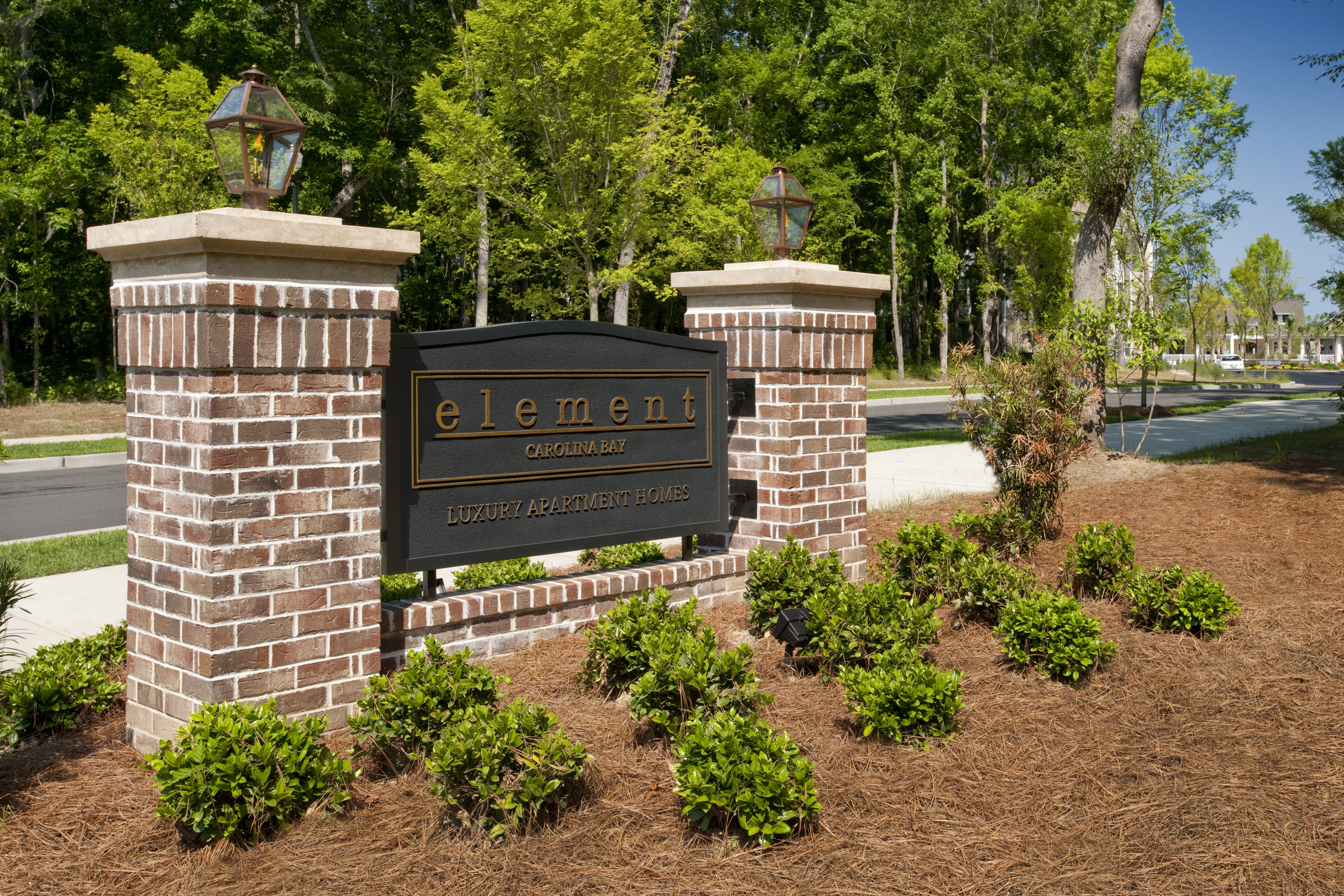 Element Carolina Bay Image 94