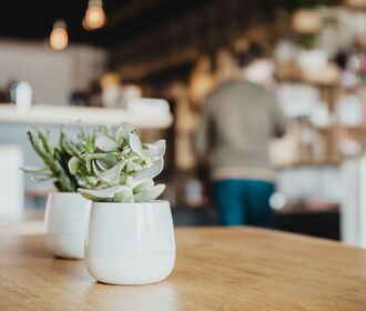 Westminster Manor - Stock Photo of a cafe with two potted plants sitting on a wooden table top.