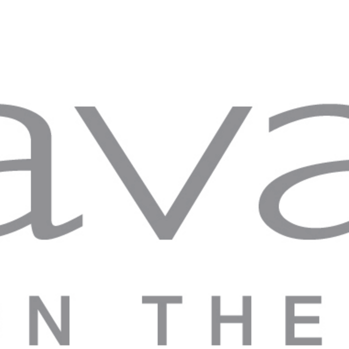 avanaontheplatte.com logo