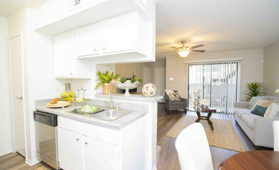 apartments that take dogs near me