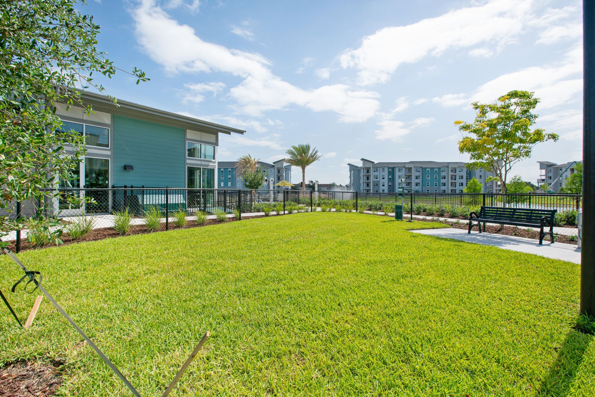 The Jamison Image 58
