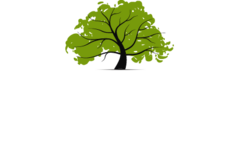 Lone Oak