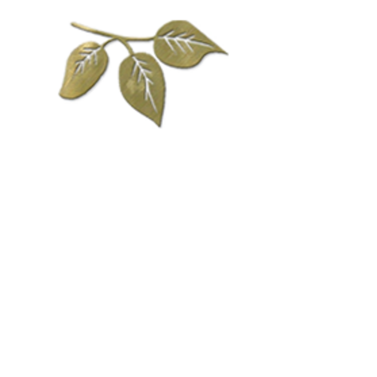 Elm Grove Apartments
