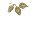 1-bedroom apartment at Elm Grove Apartments in Kingwood