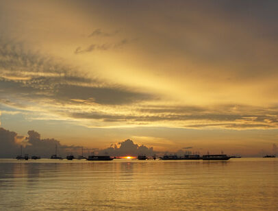 1 bed: Beds - Studio: Baths - 1: SqFt Range - 1600 to 1800