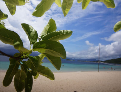 1 bed: Beds - Studio: Baths - 1: SqFt Range - 1600 to 1800