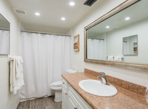 The Elite: Beds - 1: Baths - 1: SqFt Range - 750 to 750