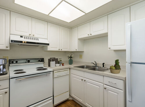 The Elite: Beds - 1: Baths - 1: SqFt Range - 750 to 750