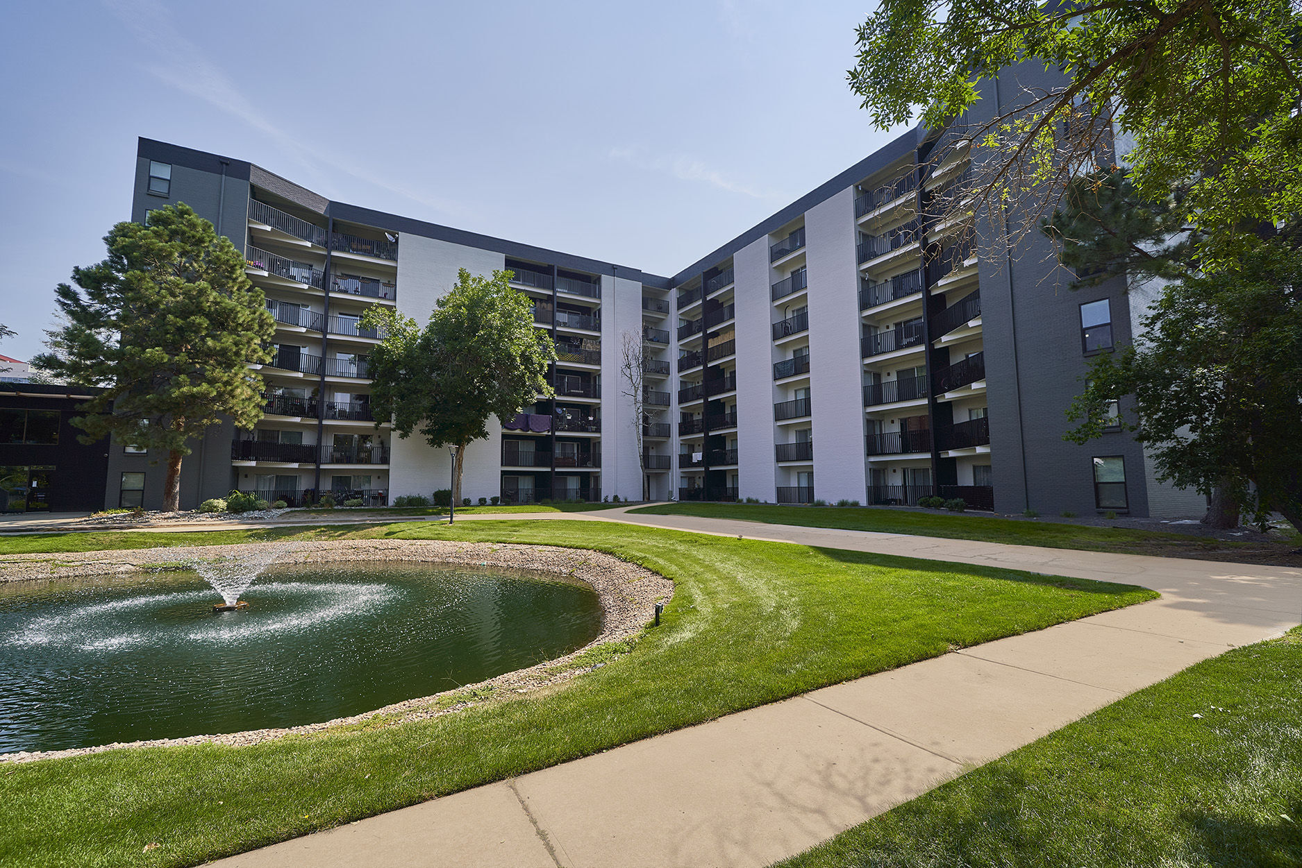 Elm at Panorama Image 66