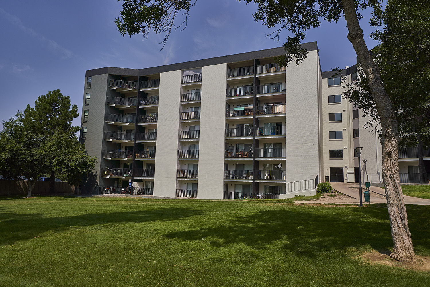 Elm at Panorama Image 64