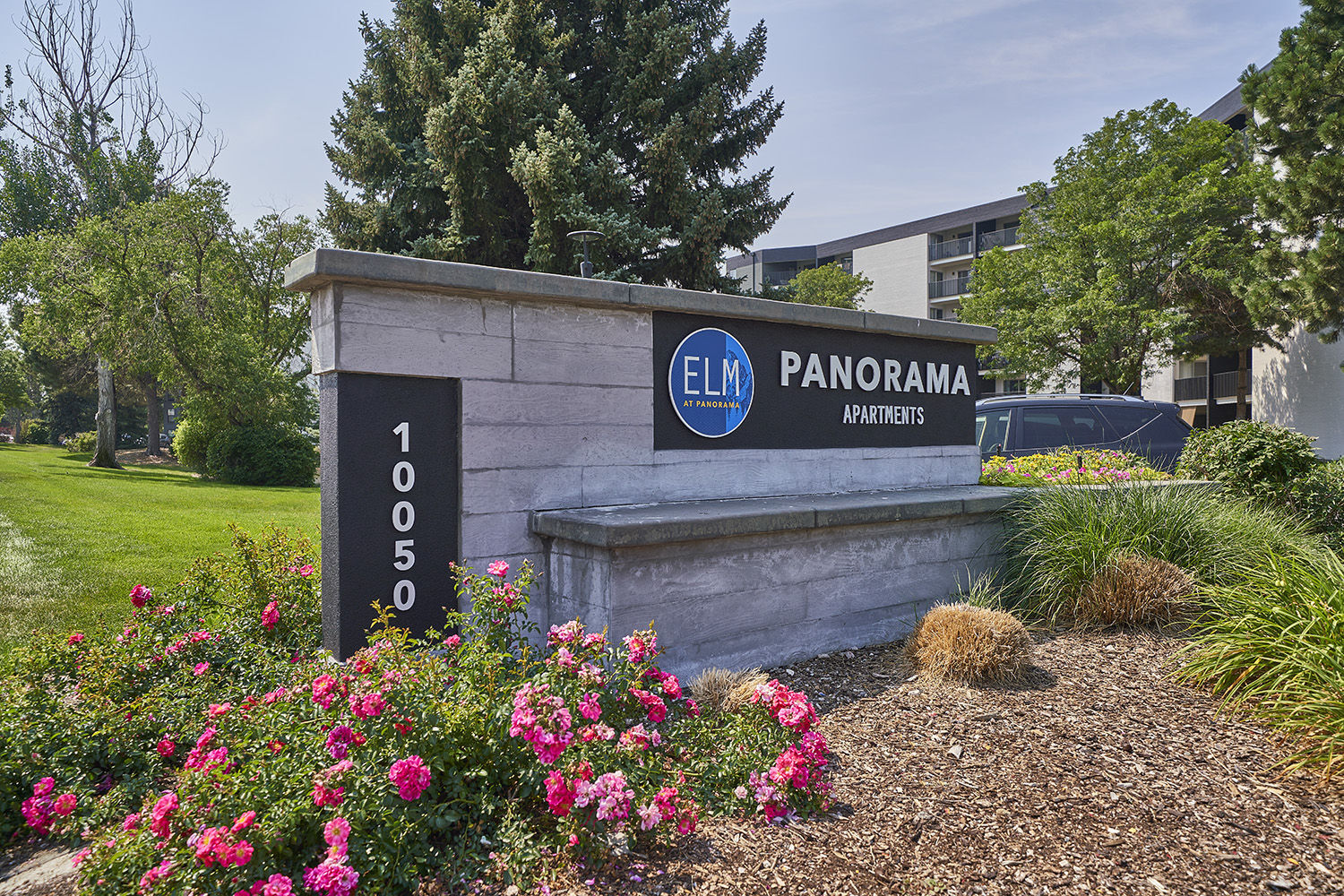 Elm at Panorama Image 65