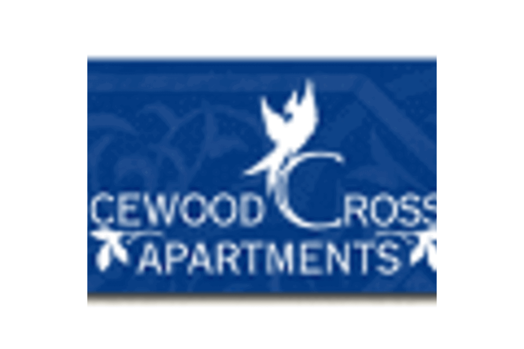 spicewoodonline.com logo