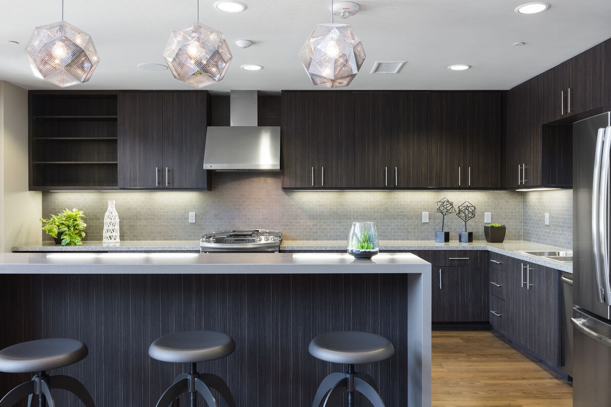 481 On Mathilda kitchen - Sunnyvale, CA