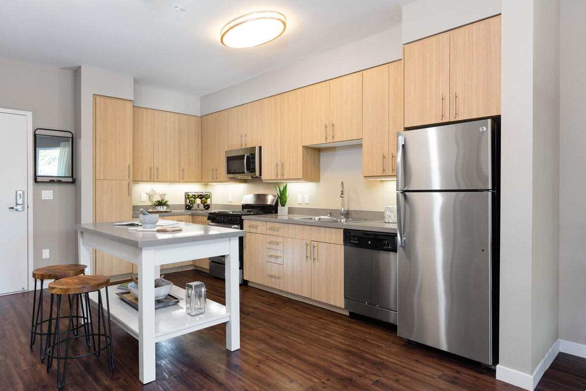481 On Mathilda kitchen - Sunnyvale, CA