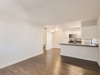 Unfurnished apartment interior — representative home at Ava Park.
