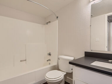 Apartment bathroom — representative home at Ava Park.