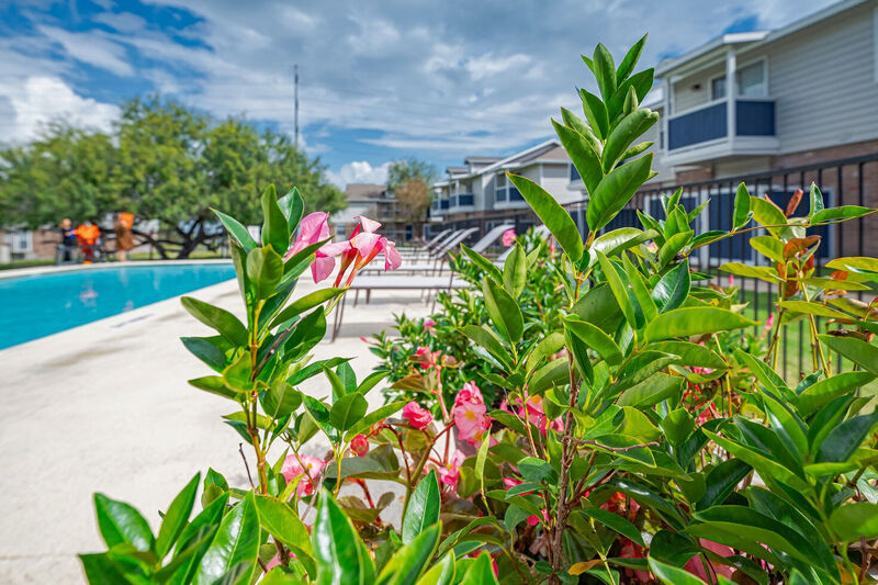 Corpus Christi Apartments