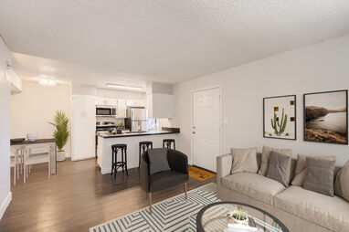 Staged example: furnished apartment living area shown at Ava Park.