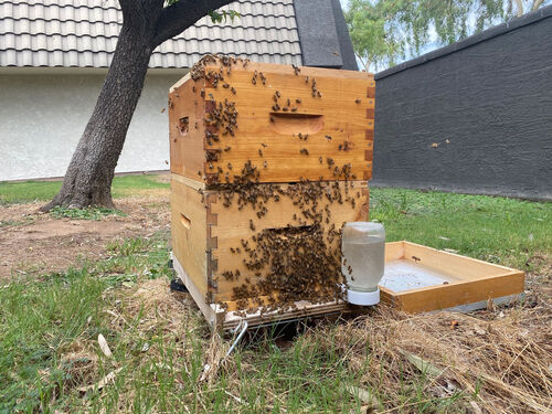 Beehive at Highland Park