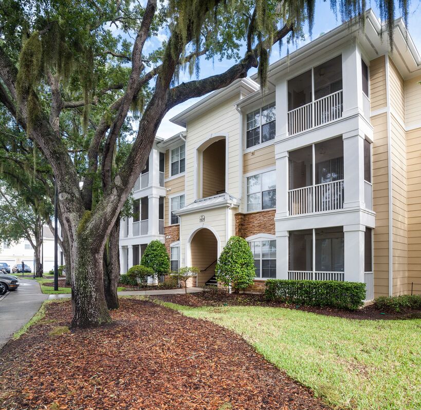 apartments for rent in tampa fl carlyle at crosstown apartments