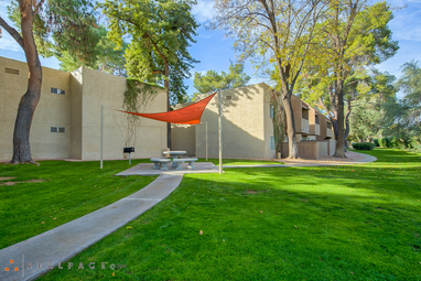 Shared outdoor space at Camino Tomas.