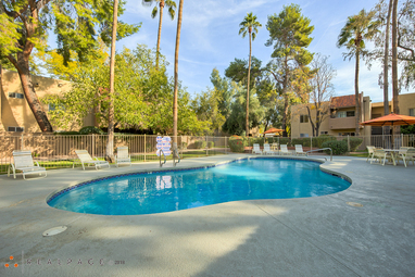 Pool and poolside area at Camino Tomas.