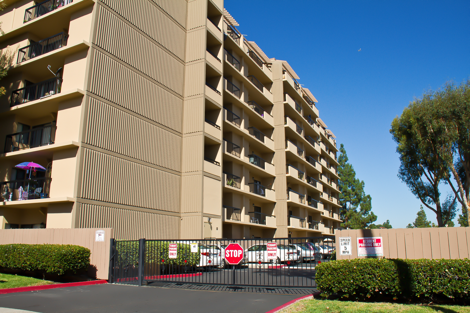 apartments for rent in la mesa ca springs the home