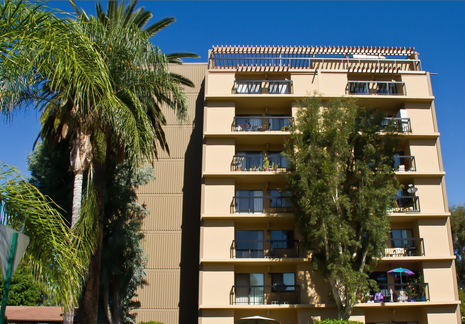 apartments for rent in la mesa ca springs the home