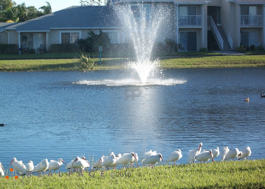 River Park Place Apartments - Vero Beach, FL Apartments for rent