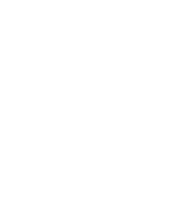 Ashton Austin Logo